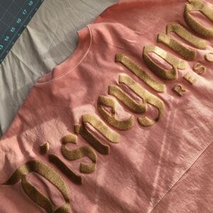 Disneyland Resort Pink and Gold Jersey Top